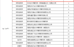 中路华辰会计师事务所2022年-2024年连续四年综合评级位居第一